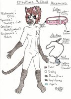 Ref Sheet - Ditsiline McCloud by Ditsiline - feline, male, reference sheet, femboi, mccloud, lord, siamese cat, ditsi, ditsiline, kazuzu