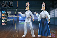 AiLe & Japanese martial arts by Baghira86 - male, japan, martial arts, wild rabbit, male solo, rabbit boy, japanese clothes, budo