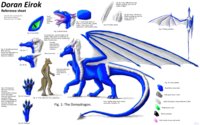 Doran Eirok Refsheet (old) by Doran - dragon, male, character, sheet, fursona, reference, refsheet, scalesona