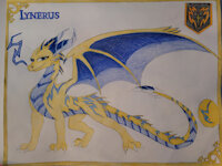 Lynerus by Whitehowler - female, character sheet, dragoness, original character