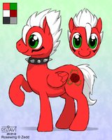 Adorable pony is adorable  by XZeddX - male, cuteness, mlp, my little pony friendship is magic, pegasus pony, mlp fim, ponysona
