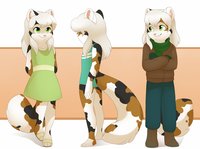 How do I look by Selene - cat, refsheet, female/solo, seleneblackcat
