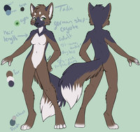 Canine Design by Shinigamiinochi - female, canine, character sheet