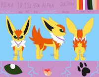 Kilala's Ref And Riding Gear Sheets by TabbyKazuki - female, reference sheet, pokemon, human, jolteon, fan character, pokemon oc, tabbykazuki, consep art
