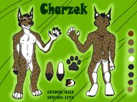 Charzek ref. sheet by Boscoe - male, reference sheet, lynx, reference