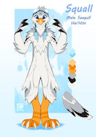 Squall Ref by Plagoo - male, reference sheet, bird, anthro, avian, seagull