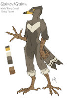 Quincy Ref by Plagoo - male, reference sheet, bird, anthro, avian, nonbinary (lore), ring ouzel