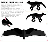 Norrible MS Paint ref sheet for Beowulf the winged wolf - SFW version only by phoenixmaster - wolf, male, reference sheet, gray, original, black, and, paint, to, character, sheet, i, ref, oc, it, winged, ref sheet, reference, wolfie, microsoft, winged wolf, hate, want, never, again, use, beowulf, wolfy, ms, ms paint, using, microsoft paint, microsoftpaint