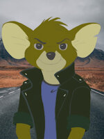 JAKE KANGAROO MOUSE by aussiejake - male, jake, mouse, the, kangaroo, under, rescuers, down