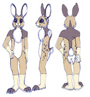New Submission by RabidRabbit - male, rabbit, fursuit