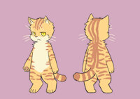 Wonder's Sheet by Kolka - cub, cat, male, wonder, orange tabby