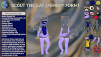 Femboy Scout Ref Sheet (SFW) by ScouttheCat02 - cat, male, reference sheet, anthro, femboy