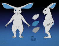 Reference Sheet - Jöstr by ZanderTheRaccoon - big ears, bunny, male, rabbit, ears, kovu