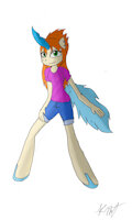 Kelsey the Keldeo by NikkiWolf315 - female, pokemon, clean, keldeo, legendary pokemon, mythical pokemon