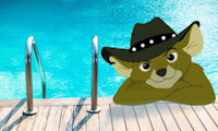 New SubmissioHAPPY SUMMER by aussiejake - male, jake, mouse, pool, summer, the, kangaroo, under, rescuers, down