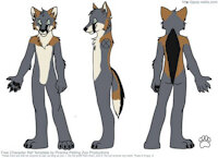 Jack, my main oc. by f1master45 - wolf, male, character sheet, wolfdog, character reference