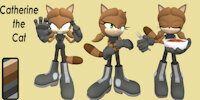 Catherine the Cat by brushwaterkhan - female, sonic fan character, siberian cat, sonic oc