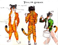 Tahlyn Reference Sheet by Tahlyn - male, glasses, reference sheet, tiger, drums, bengal tiger