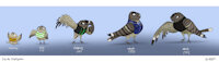 Neville Nightglider’s Timeline by Sallylla - cute, male, kid, teen, glasses, blushing, adult, bird, cartoon, teenager, anthro, feral, toony, fluffy, avian, child, baby, young, toddler, wings, feathers, vest, solo, happy, clothing, embarrassed, cartoony, scars, hatchling, young adult, chick, fledgling, age progression, adolescent, chart, aging, biped, solo male, timeline, age chart, semi-anthro, police officer, semi anthro, police uniform, story in description, nightjar, european nightjar, neville nightglider