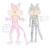 Firepaw & Ninja by 2BIT - cat, male, ninja, virus, sonic fan characters, genex, firepaw