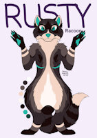 Racoon bases by AcrilicoCat - small, female, male, racoon, reference, base
