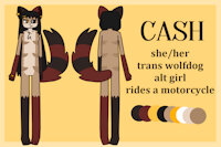 cash ref by kittydeer - dog, female, wolf, hybrid, transgender, reference, wolfdog, female/solo, transgirl