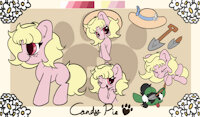 Candy Pie Ref Sheet by Darkwarks - female, reference sheet, pony, ref sheet, pony oc