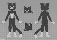 Matt Ref by TrainsCZ - feline, male, commission, white fur, black fur, cat cube