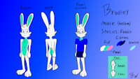 Bradley ref-sheet by mutantkittybun - bunny, male, rabbit, bunny boy, nude ref, sfw nudity