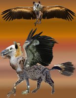 Spooksie by KiyaraSabel - female, gryphon, griffon, hyena, griffin, vulture, female/solo