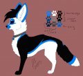 Schatzi--feral ref  by SiraLoba - fox, fennec, herm, ears, canid, tuxedo, tux, digitalart, animal related non anthro