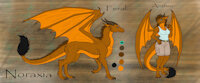 Noraxia Character Sheet by ShamanSquirrel - female, character sheet, anthro, feral, dragoness, furred dragon
