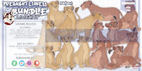 LINEART BUNDLE by NorthernRed - dog, cat, feline, wolf, canine, lineart, digital, art, shop, purchase, buy, semi, open, cheap, support, realistic, animal, line, digitalart, base, tlk, semirealistic, semi-realistic, donate, ych, patreon, ko-fi