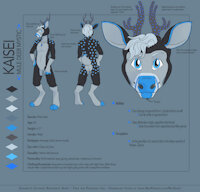 Kaisei the Mystic Guardian Mule Deer Reference by Kaisenymes - male, deer, cervine, sheet, reference, base, mule deer, kaisei
