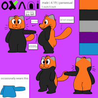 Another reference sheet: Oxani by Oxanibranx - red panda, male, reference sheet, oxani