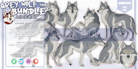 LINEART BUNDLE by NorthernRed - dog, cat, feline, wolf, canine, lineart, digital, art, shop, purchase, buy, semi, open, cheap, support, realistic, animal, line, digitalart, base, tlk, semirealistic, semi-realistic, donate, ych, patreon, ko-fi