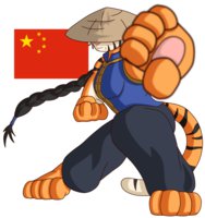 Tao Huang: Fu-Jow-Pai by G3TRacket - male, tiger, flag, fighter, martial arts, china, fu-jow-pai