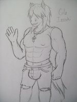 Cole Irazaki by TheAmariaShadow - male, reference sheet, horse, equine, muscular, mustang, ripped clothes, hair over eyes, large bulge
