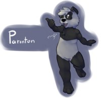 Parinton by JimRowan - panda, pandapaco