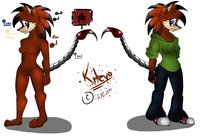[Reference] Kitevo Kaigne by txinairy - hedgehog, thylacine, mobian, kitevo kaigne, hedglacine
