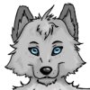 Old reference sheet  by Thrashyiff - reference sheet, thrash, thrashwolf