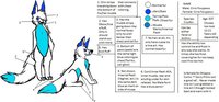 Cirro/Cirra Foxypaws Reference Sheet by Max by SwiftFur - fox, female, male, reference sheet, vulpine, reference, cryofox
