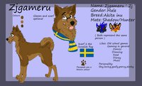Zj reff sheet by TheShyViolinist - dog, male, akita, akita inu