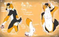Corgi Butt ref by DeadDogInc - dog, cute, female, adorable, corgi, androgynous