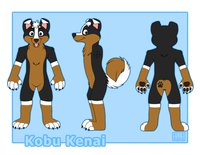 Kobu Mutt Reference Sheet! by Kobu - dog, male, sheet, ref, mutt