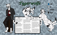 Tygerwolfe 2014 by DarkwolfUntamed - female, male, neutral, striped wolf