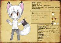 kogen Ref by kindalucky - border collie, reference sheet, arctic fox, c-boy