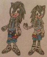 Sonic Boom Style - A5L M/F Sonic Persona by TwilightA5LtheHedgehog - female, male, hedgehog, tg, sonic boom, alex the hedgehog, alexis the hedgehog, sonic persona, a5l