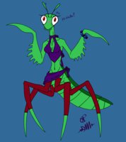 Lily the Mantis by awkwarddarknerd - cute, female, bug, insect, lily, mantis