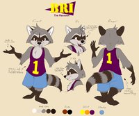 Bri the Raccoon 2014 ref sheet by tamiasthechipmunk - raccoon, male, the, sheet, ref, bri, 2014, tamias6